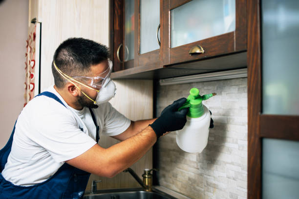 Best Affordable Pest Control Services  in Dwight, IL