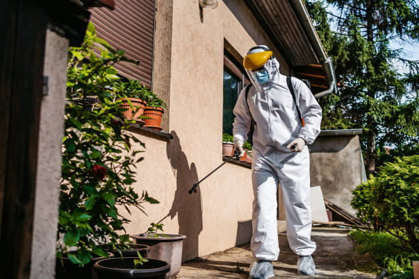 Best Pest Control Near Me in Dwight, IL