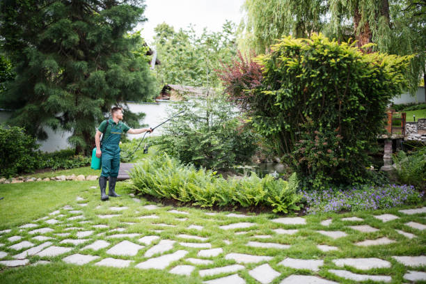 Best Exterminator Services  in Dwight, IL