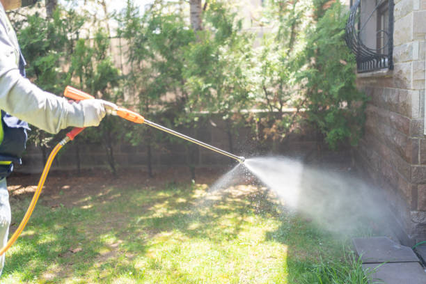 Best Insect Control  in Dwight, IL