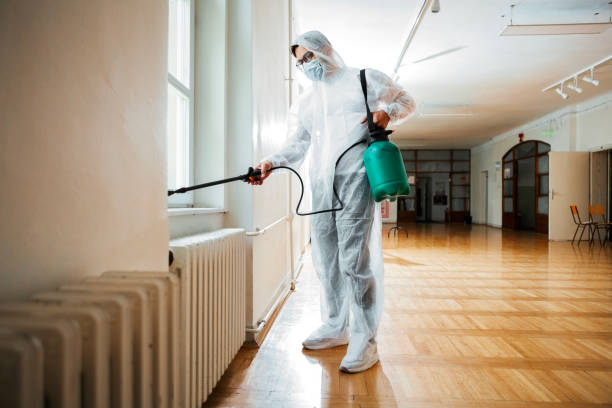 Best Best Pest Control Companies  in Dwight, IL