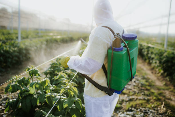 Best Mosquito Control Services  in Dwight, IL